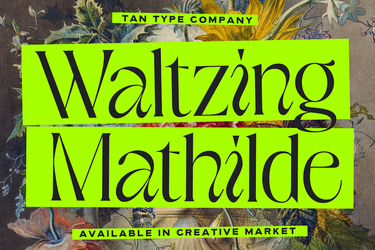 TAN - WALTZING MATHILDE, a Font by TanType (Photo 1 of 10)