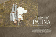 Botanical Patina Backgrounds, a Background Graphic by DigARTbyHavroshka (Thumbnail 3 of 12)