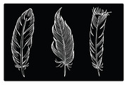 Silhouettes of different feathers, an Illustration by risovanya (Thumbnail 3 of 3)