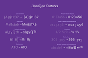 Rival Sans Font Family, a Sans Serif Font by Mostardesign Type Foundry (Thumbnail 10 of 10)
