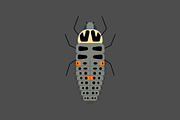 Ladybug Larva, a Solid Icon by Buqancreative (Thumbnail 2 of 2)
