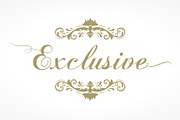 30 Damask pattern frame 01, an Illustration by Bloom21Art (Thumbnail 3 of 3)