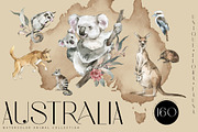 AUSTRALIA Flora & Fauna collection, an Animal Illustration by Anastezia Luneva (Thumbnail 1 of 10)