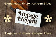 Thelost Magica Modern Serif, a Serif Font by timelesstype.co (Thumbnail 3 of 20)