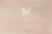 Dreamy Wings. Vintage Wedding Font, a Script Font by AnMark (Thumbnail 14 of 14)