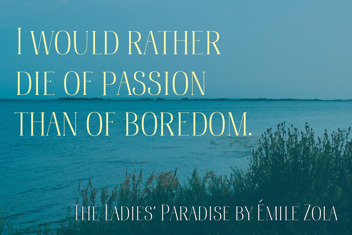 Bonheur Serif, a Serif Font by EW Type Foundry (Photo 4 of 10)