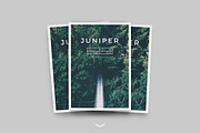 J U N I P E R  Branding Bundle!, a Packaging Mockup by 46&2 Collective (Thumbnail 2 of 21)