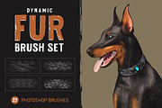 Fur Photoshop Brushes v2, a Brush Add-On by Mohamed Saber (Thumbnail 1 of 6)