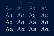 Clarinette, a Serif Font by OceaneM (Thumbnail 2 of 8)