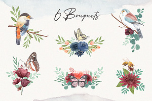 Insects & Birds Watercolor Set