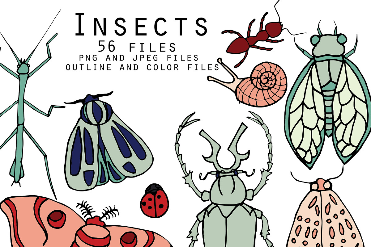 Insects, an Illustration by Valeri Nick (Photo 1 of 5)