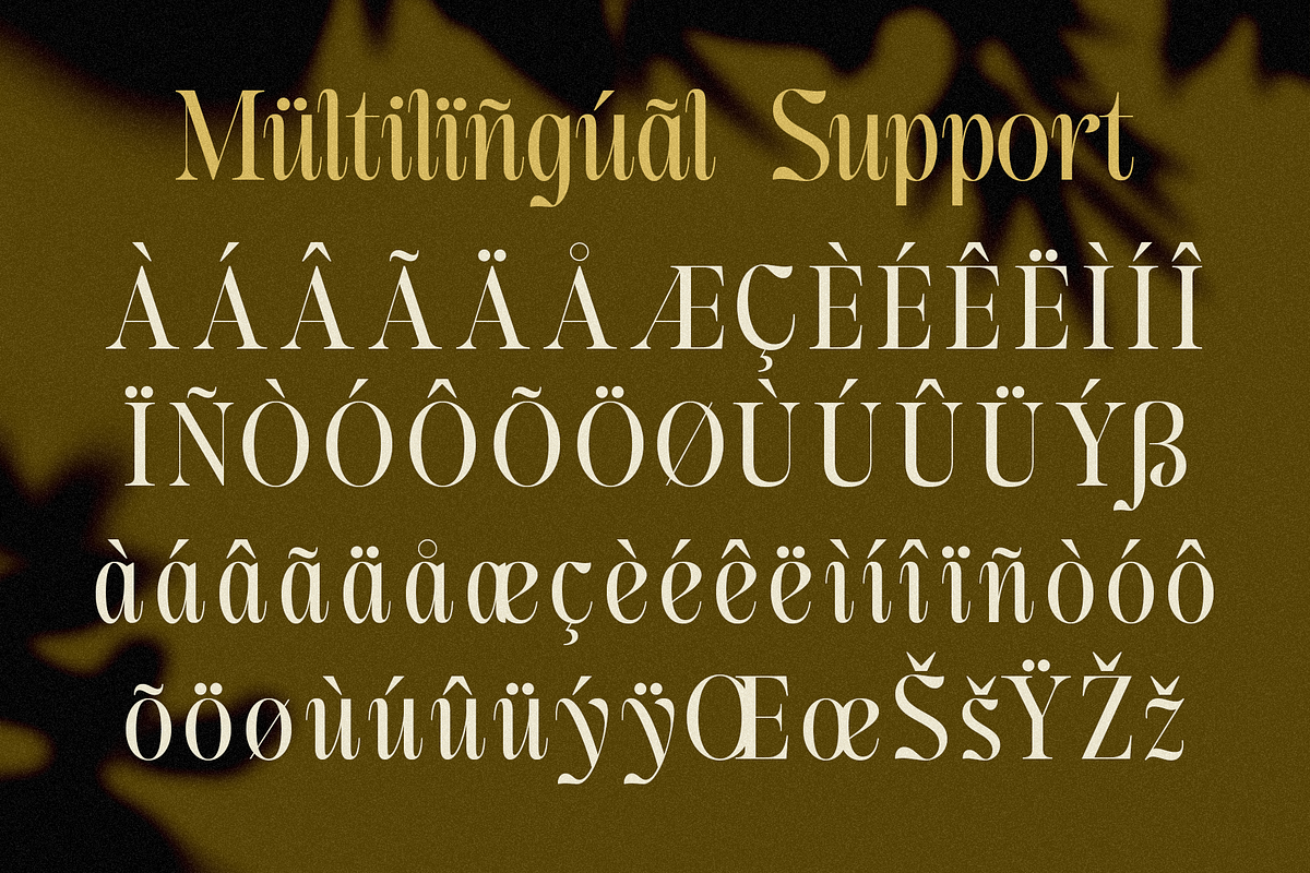 Moncheur Havens | Stylish Serif Font, a Serif Font by Jolicia Type (Photo 9 of 10)