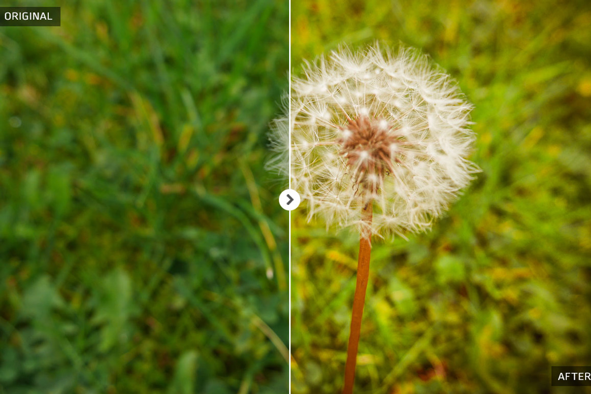 50 Spring Lightroom Presets preview 6