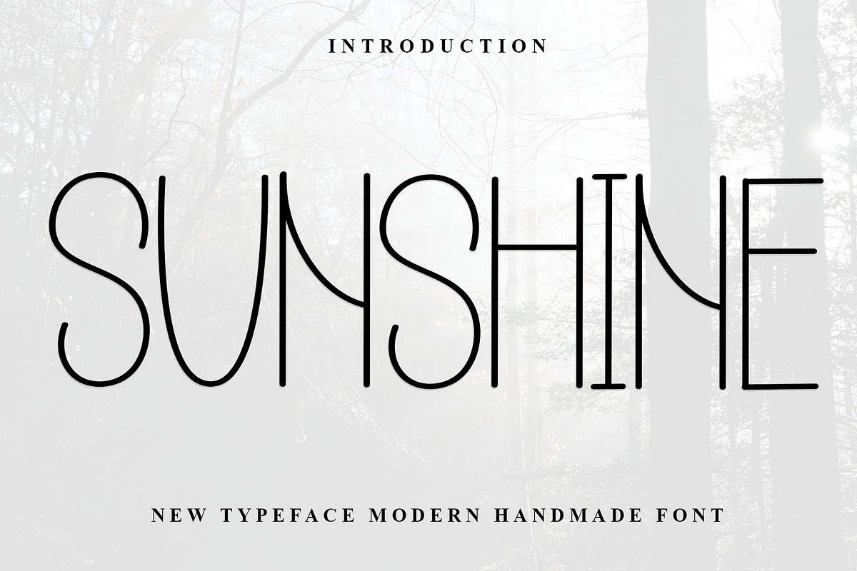 Shunsine, a Handwritten Font by InermediaSTUDIO (Photo 1 of 8)