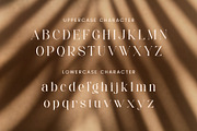 Michola - Beautiful Serif Font, a Serif Font by Aqeel_Art (Thumbnail 11 of 12)
