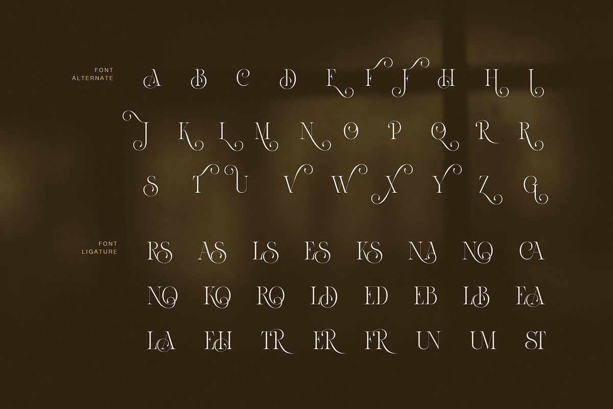Ames uxury Serif Font, a Serif Font by Graphicxell (Photo 8 of 8)