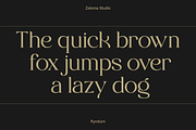 Ryndurn, a Serif Font by Zaloma Studio (Thumbnail 15 of 20)