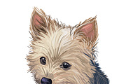 Dogs Cross Breeds 56 Animals Bundle, an Animal Illustration by Dneprstock (Thumbnail 9 of 55)