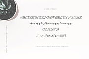 Willy Schaden Script, a Script Font by Salamahtype (Thumbnail 5 of 5)