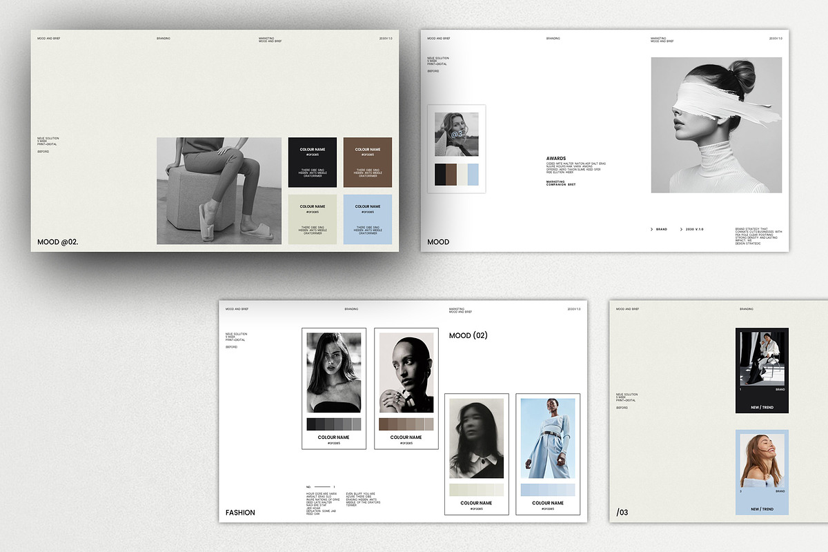 ROZA / Mood and Brief Presentation, a Presentation Template by Pradaxa (Photo 2 of 7)
