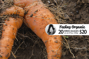 Feeling Organic