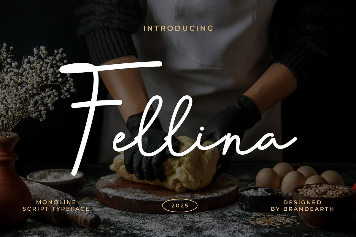 Fellina - Monoline Script Font, a Script Font by Brand Earth (Photo 1 of 7)