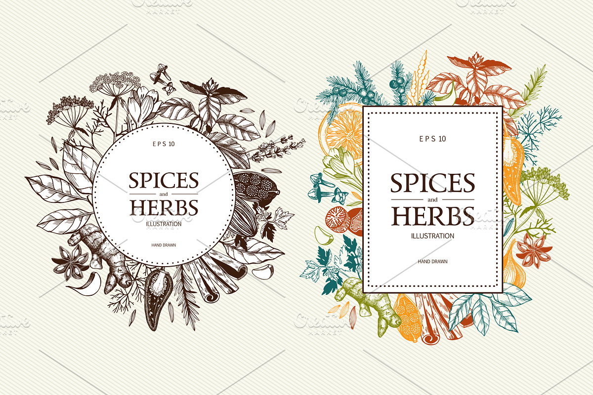 Ink Hand Drawn Spice Collection preview 8