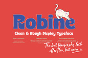 ST Robine - Display Font, a Serif Font by Type it Easy (Thumbnail 2 of 13)