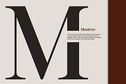 GC Mozarella–Elegant Variable Serif, a Serif Font by Glyphonic (Thumbnail 10 of 15)