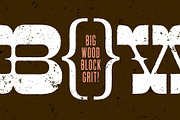 Cayuse Lo-Fi, a Slab Serif Font by William Hastings (Thumbnail 2 of 8)