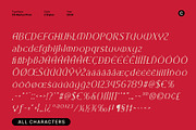 CS Marius Pixel, a Serif Font by Craft Supply Co. (Thumbnail 8 of 8)