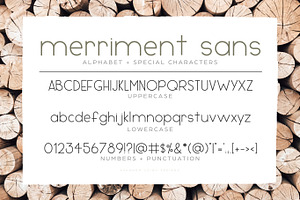 Merriment Sans Slab Font Duo