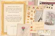 BUNDLE: 600 Academia Ephemera, an Object Graphic by The Object Atlas (Thumbnail 7 of 16)
