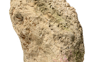Rough natural stone with uneven surface and moss, isolated backg, an Abstract Photo by ndanko