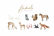Map Creator, an Animal Illustration by Graphic Box (Thumbnail 12 of 17)