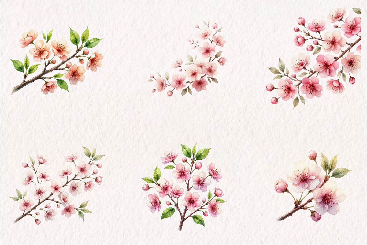 Watercolor Cherry Blossoms Clipart, a Seasonal Illustration by CreationArt (Photo 4 of 7)