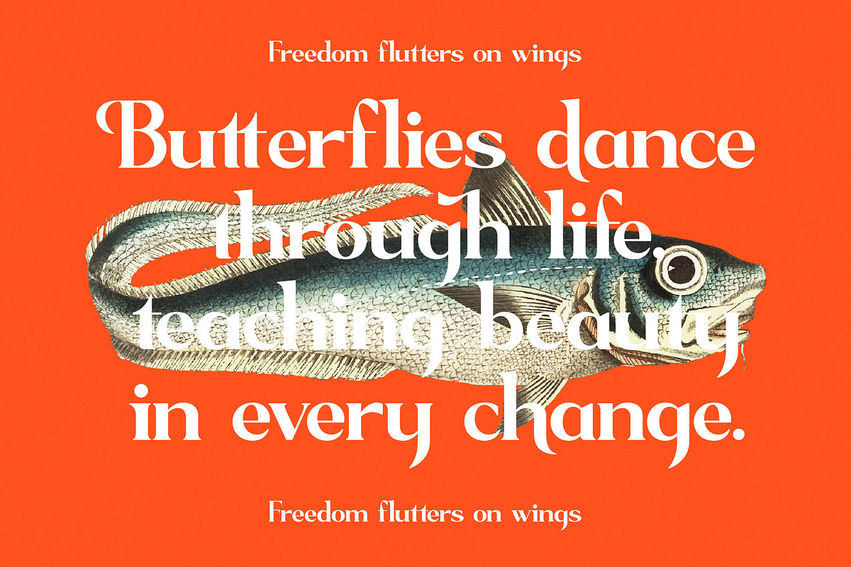 Sagfield Modern Serif Font, a Serif Font by AmorfaType (Photo 5 of 10)