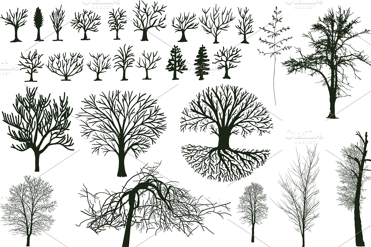 25+ trees without leaves, an Object Graphic by ОльгаМороз (Photo 2 of 4)