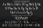 Birthday Vintage, a Handwritten Font by FreshTypeINK (Thumbnail 5 of 8)