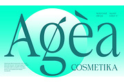 Aganote Typeface | 91 Style Font, a Serif Font by Bosstype Studio (Thumbnail 5 of 12)
