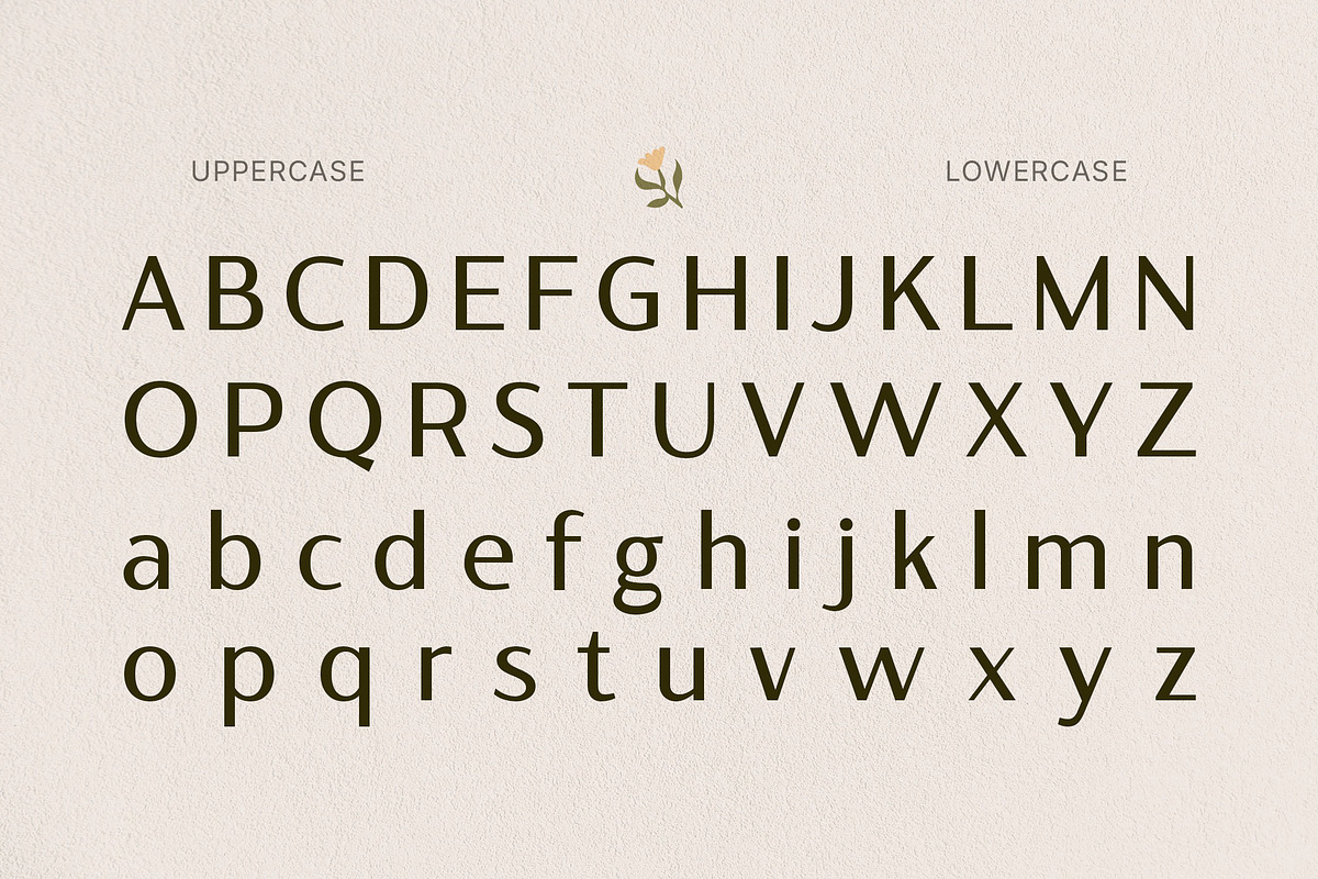 Sqindra - Luxury & Elegant Sans, a Sans Serif Font by Typia Nesia (Photo 2 of 15)