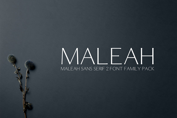 Maleah Sans Serif Fonts Family Pack preview 8