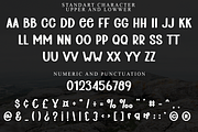 Sunday Carnival, a Script Font by FreshTypeINK (Thumbnail 8 of 8)
