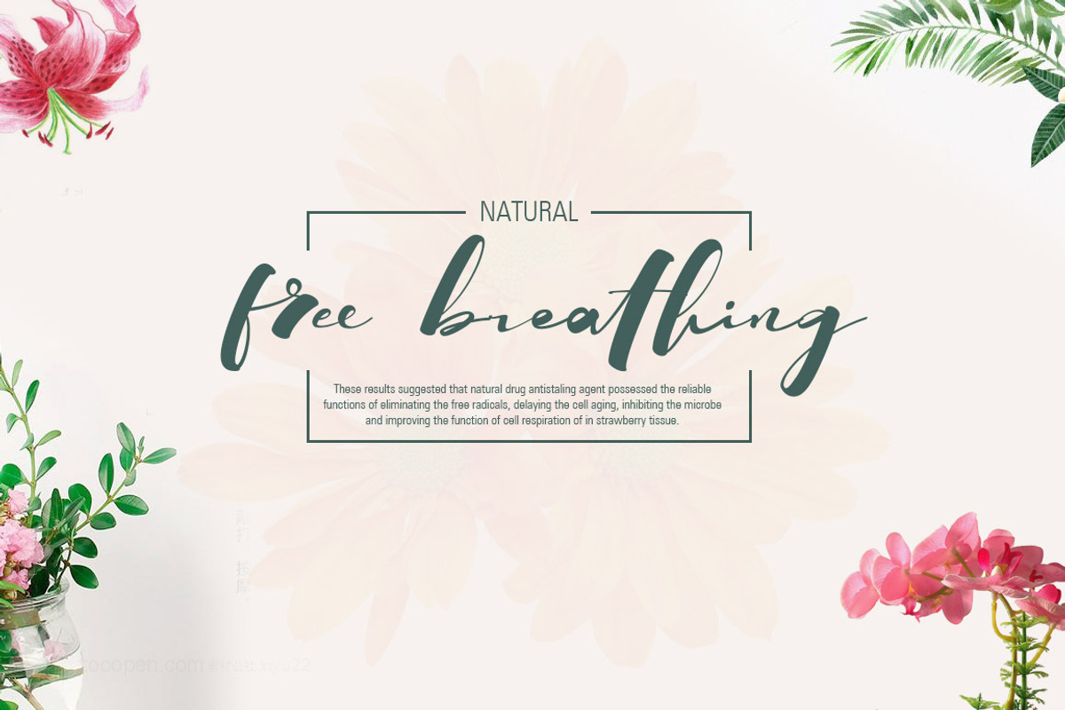 SprinkleInk font, a Script Font by alphadesign (Photo 3 of 6)