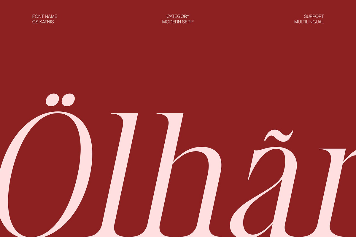CS Katnis – Modern Serif Font, a Serif Font by Craft Supply Co. (Photo 7 of 8)