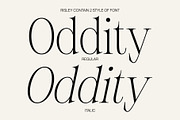 Risley - Classic Editorial Font, a Serif Font by Craft Supply Co. (Thumbnail 3 of 8)