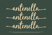 Starella - Script Font, a Font by Alpaprana (Thumbnail 5 of 9)