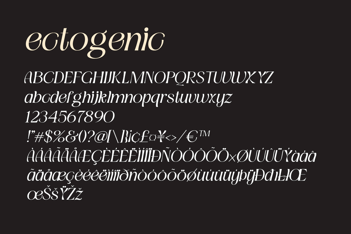 Ectogenic, a Serif Font by CreateBigSupply (Photo 3 of 8)