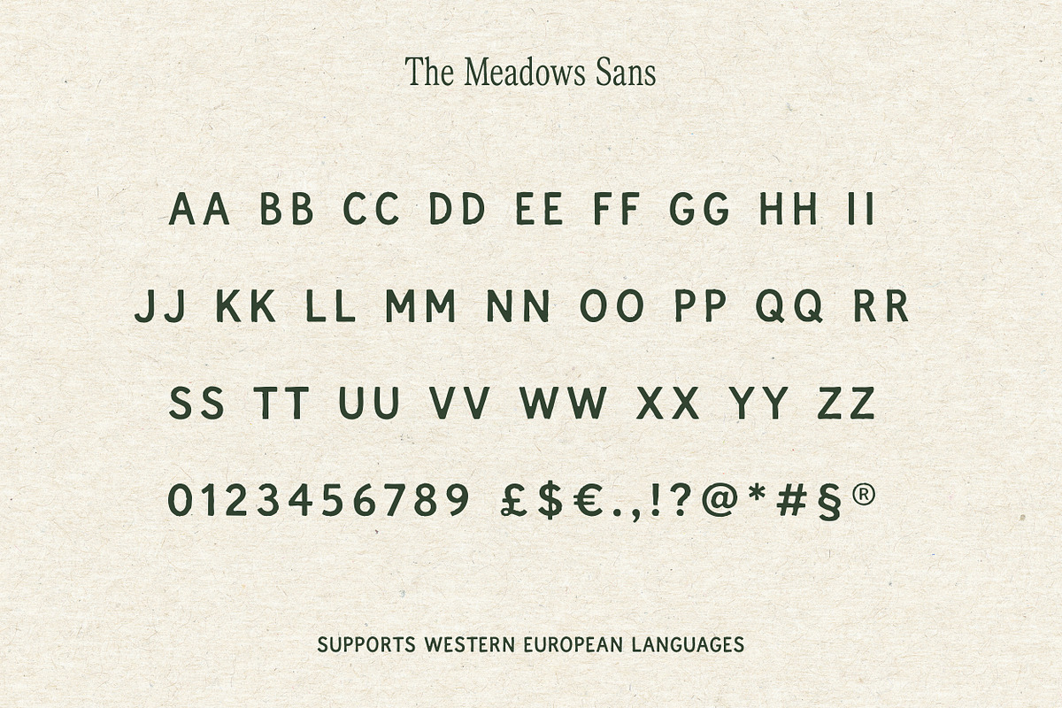 The Meadows - Font Trio & Extra, a Handwritten Font by Davide Bassu (Photo 24 of 25)
