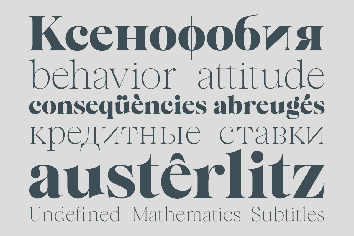 Almero Serif Family, a Serif Font by Zane Studio (Photo 4 of 11)